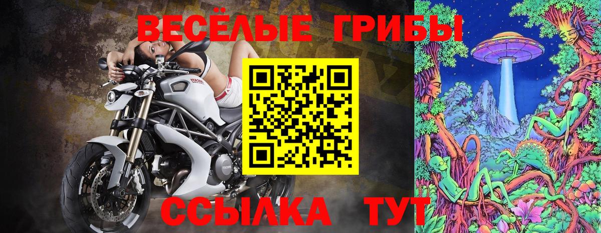 Псилоцибиновые грибы Magic Shrooms Сухой Лог
