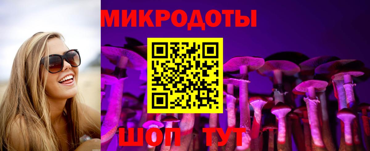 Сухой Лог  Псилоцибиновые грибы ЛСД  Вход с VPN 